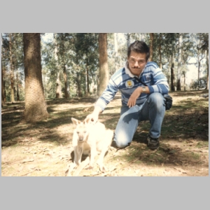 1988-08 - Australia Tour 106 - Mike with Wallaby at Lone Pines.jpg